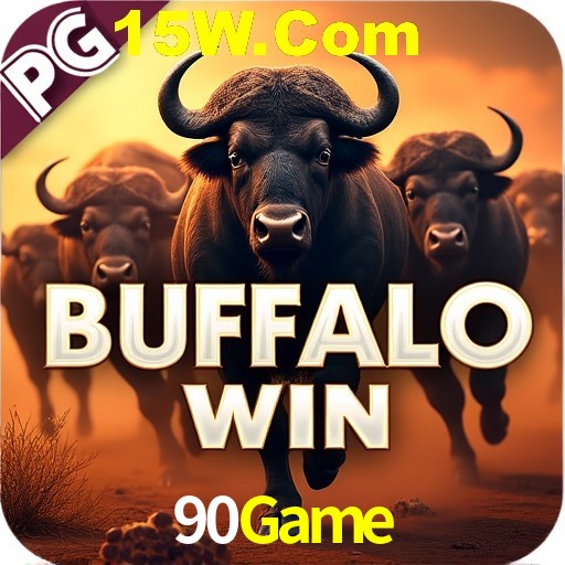 90Game Rio de Janeiro - Bonus Terms